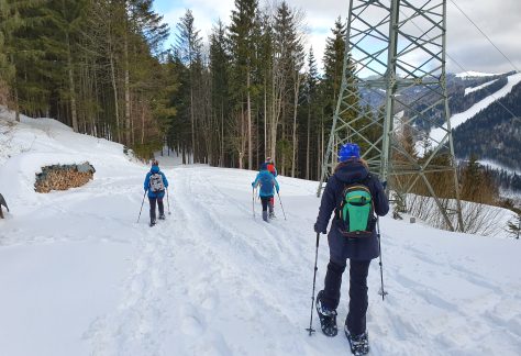 Schneeschuhwandern